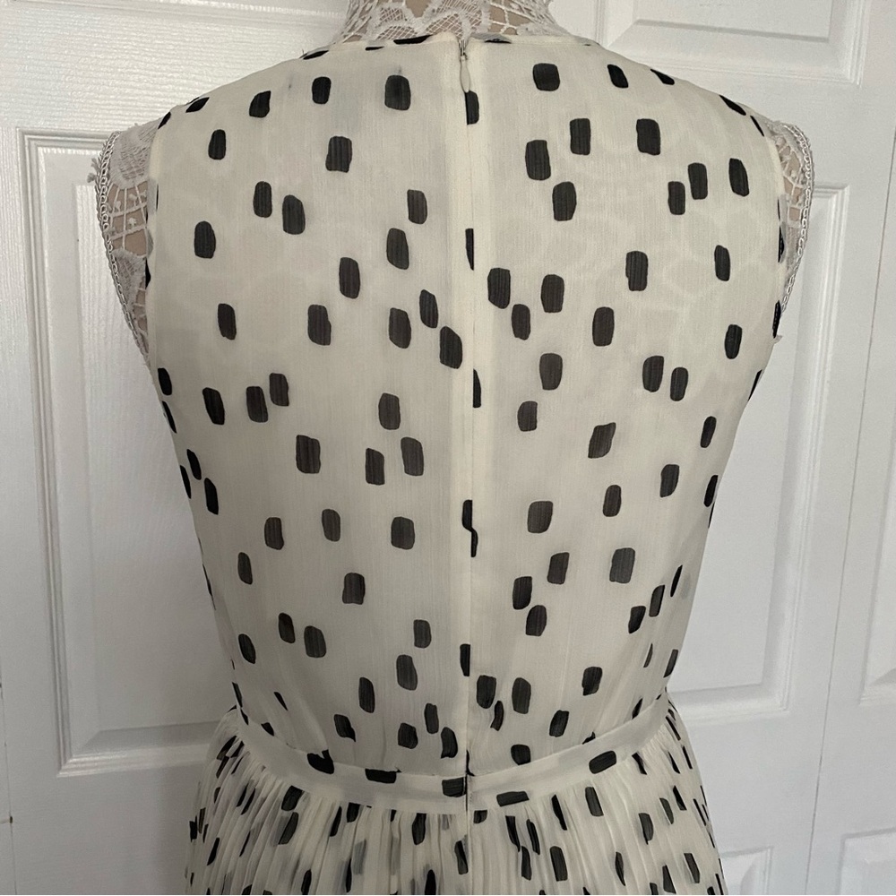 Banana Republic Polka Dot Pleated Dress 6 - Picture 5 of 16